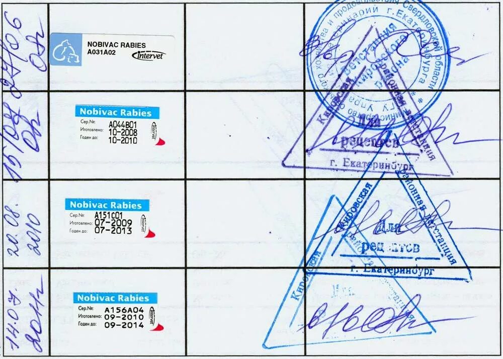 Перевоз собаки и кошки за границу: прививки и ветеринарные справки