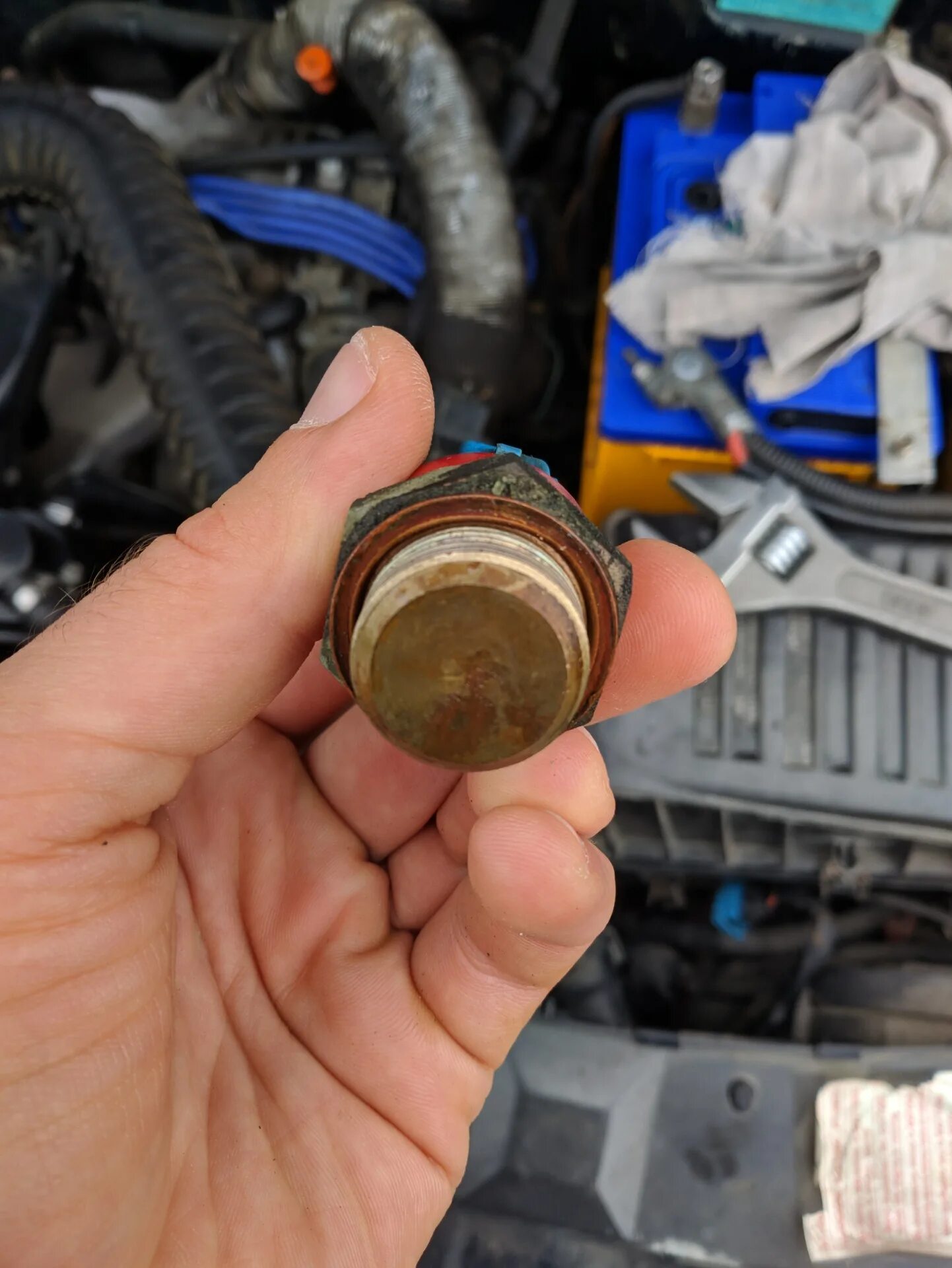 Датчик включения вентилятора охлаждения двигателя. Датчик включения вентилятора нива инжектор. Датчик включения вентилятора охлаждения двигателя. Датчик включения вентилятора ваз 2110 16 клапанов. Датчик включения вентилятора fae 37950.