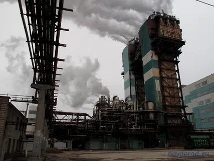 Завод новгородская область