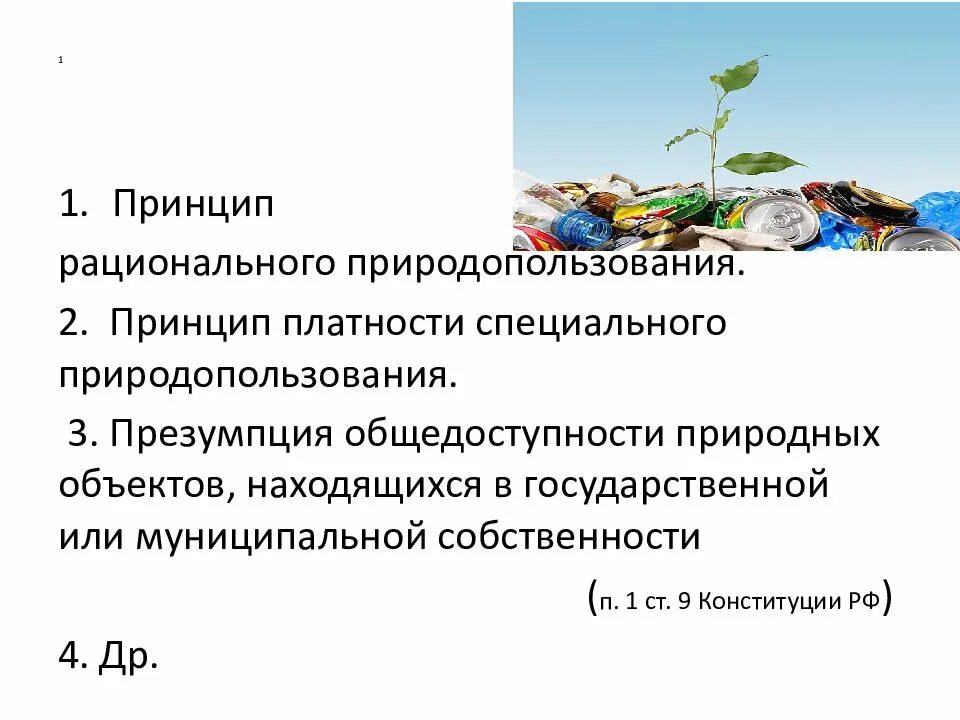 Основы рационального использования. Правовые основы рационального природопользования. принципы рационального природопользования. принцип платности природопользования. юридические основы рационального природопользования.