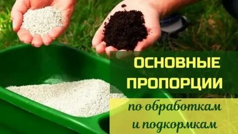 Пропорция обработки