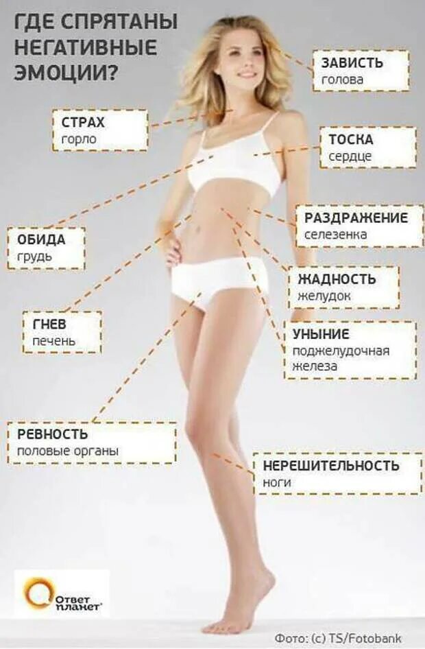 где живут эмоции в теле человека. телесная карта эмоций человека. эмоции живут в теле. эмоции живут в теле. локализация эмоций в теле.