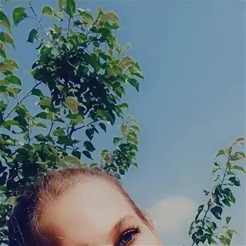 Артемова 6