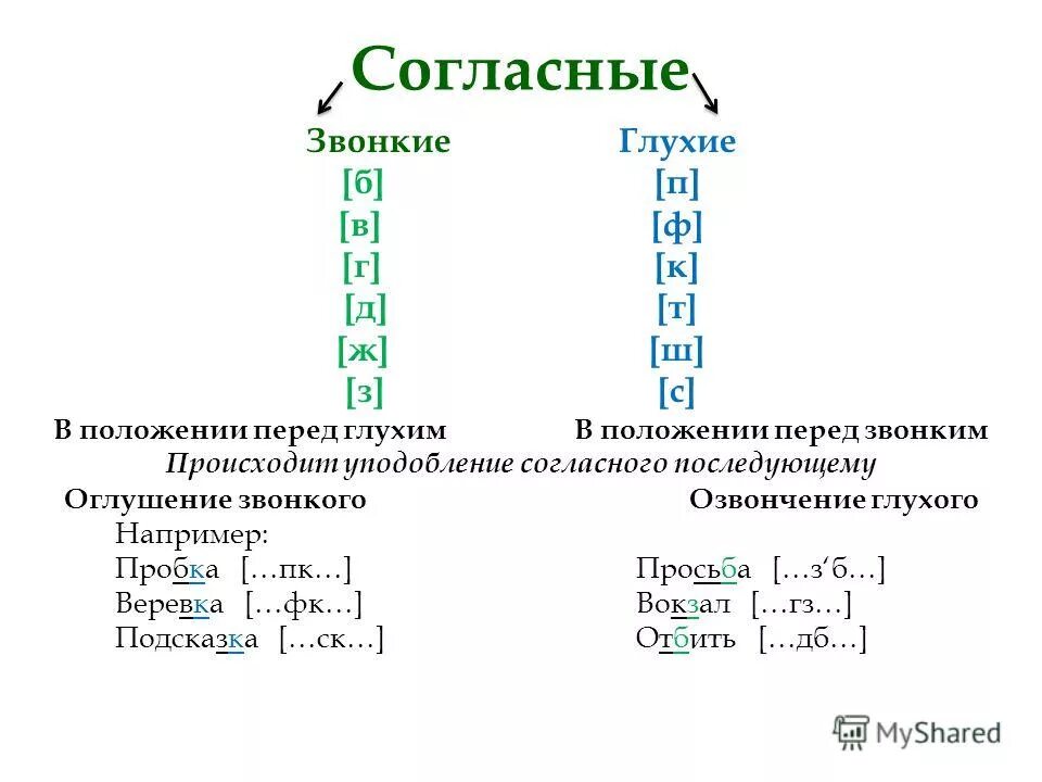 Оглушение согласных в конце слова. Оглушение согласного звука примеры. Примеры оглушения звуков. Звонкие и глухие согласные примеры. Оглушение согласных звуков примеры.