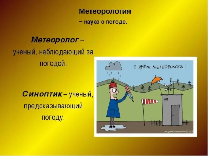 Как называют людей которые наблюдают