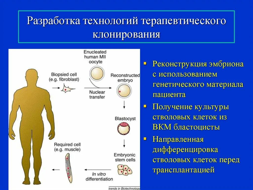 Направление клонирования