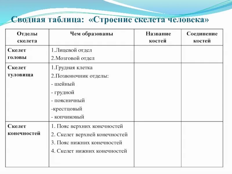 Отдел скелета череп особенности строения функции. Таблица отдел скелета строение функции. Таблица отделы тела отделы скелета. Отдел скелета кости функции таблица. Биология 8 класс таблица отделы тела отделы скелета кости скелета.