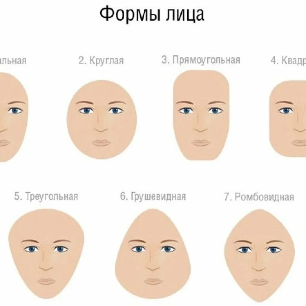 Какой формы голова. Стрижки по типу лица. Форма головы человека. Какой формы голова. Какой формы голова.