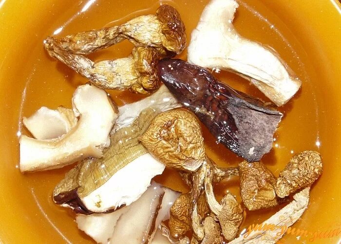 сушеные грибы вареные. сушеные белые грибы после замачивания. размачивание сушеных грибов. размоченный сушеный гриб. сушеные белые грибы после замачивания.