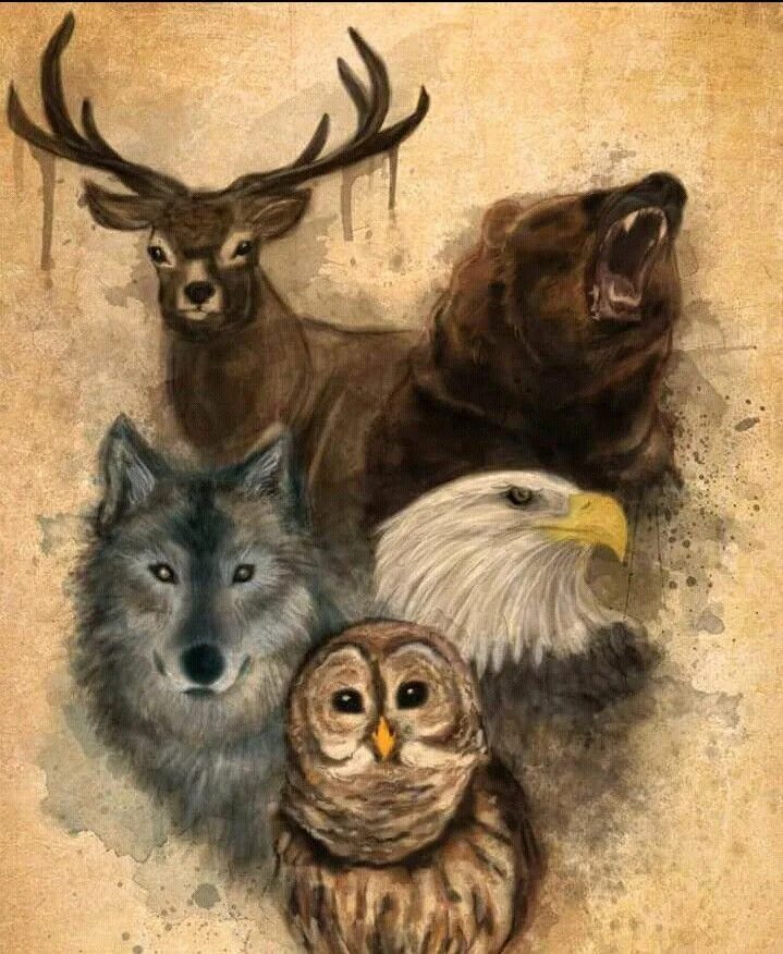 Сова волк медведь