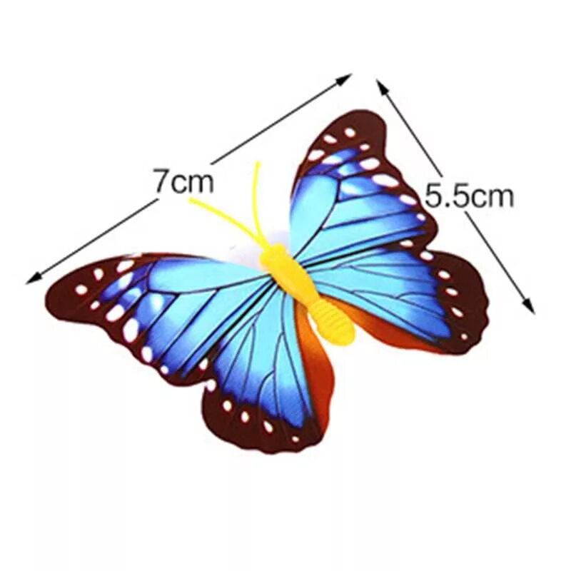 Changes butterfly
