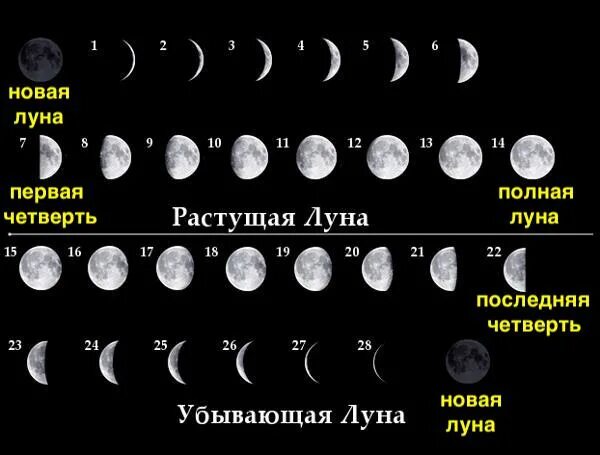 Фазы луны новолуние первая четверть полнолуние четвертая четверть. Лунное число. Число 13 значение. Новолуние 2021. Лунный календарь.