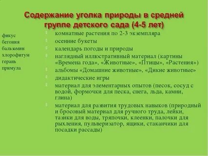 Содержание уголков в детском саду
