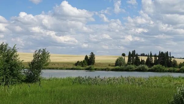 Погода в аксакшуре. Деревня Аксакшур. Аксакшур Малопургинский район. Деревня Аксакшур в Удмуртии. Фото деревни Аксакшур.