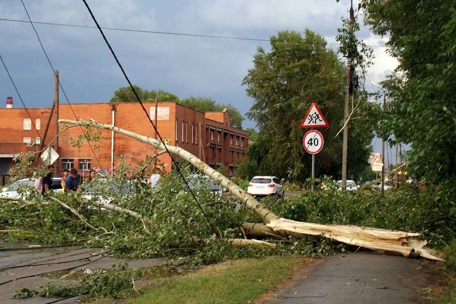 Ураган в томске. Буря в бердске. Улицы после дождя. Дорога объехала дерево. Бердск ураганы.