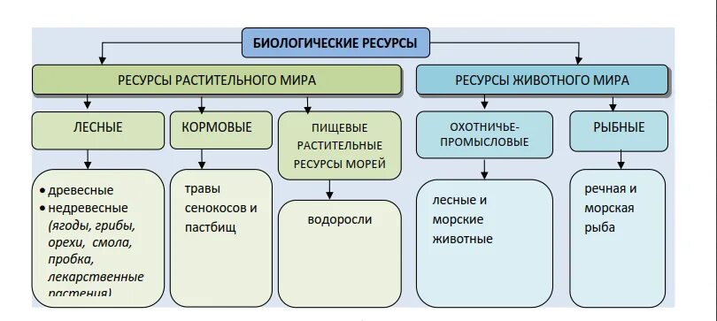Состояние биологических ресурсов. Классификация биологических ресурсов. классификация биологических ресурсов схема. классификация биологических ресурсов таблица. биологические ресурсы россии 8 класс таблица.