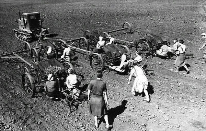 Колхозы в годы войны 1941-1945. Сельское хозяйство в годы войны 1941-1945. Колхоз до войны. Колхоз 1946. Сенокос в якутии 30е годы.