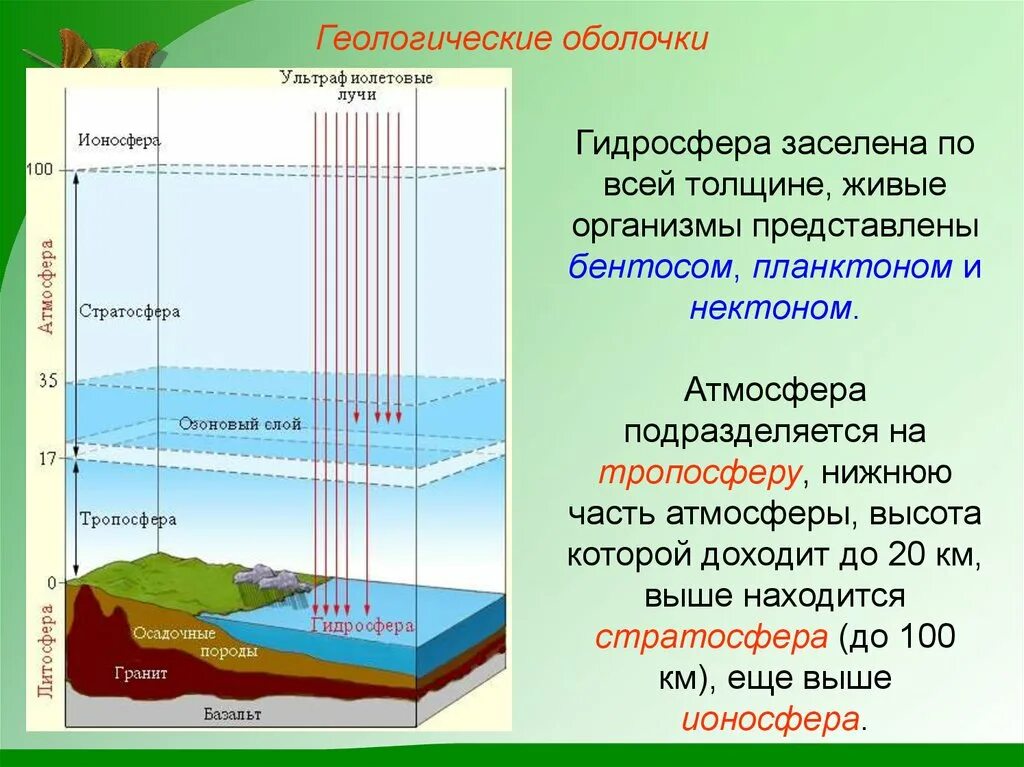 Нижняя граница биосферы. Границы биосферы литосферы гидросферы. Границы биосферы атмосфера гидросфера литосфера. Каковы границы биосферы в литосфере. В чем заключается влияние организмов на литосферу