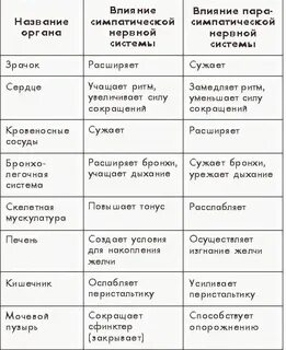 Таблица строение и функции систем органов