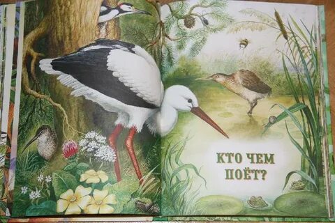 В бианки кто чем поет главные герои