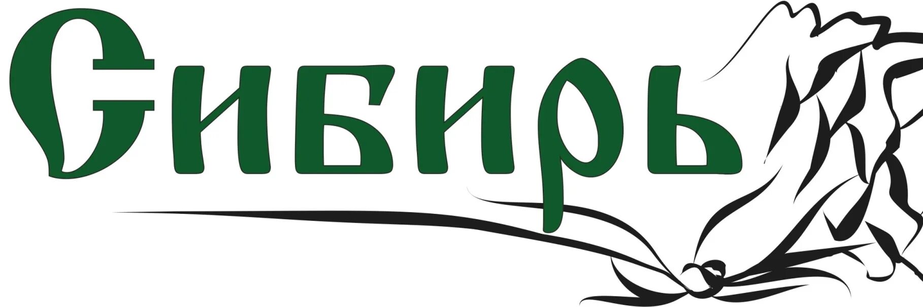 Сибирь конф. Сибирь надпись. сибирь логотип. сибирь надпись красивая. сибирь красивым шрифтом.
