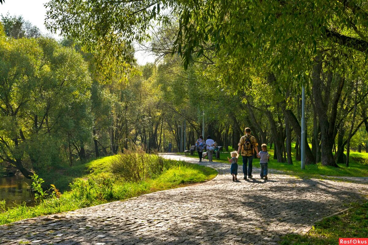 Лето парк. Парки летом. Летний парк. Летний парк в Москве. Парк с одуванчиками Москва.