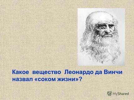 Сок жизни леонардо