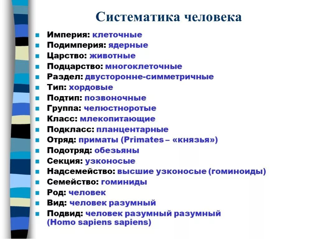 Научное название человека. Подробная систематика человека. Классификация человека разумного Подцарство. Полная систематика человека разумного. Систематика человека схема.