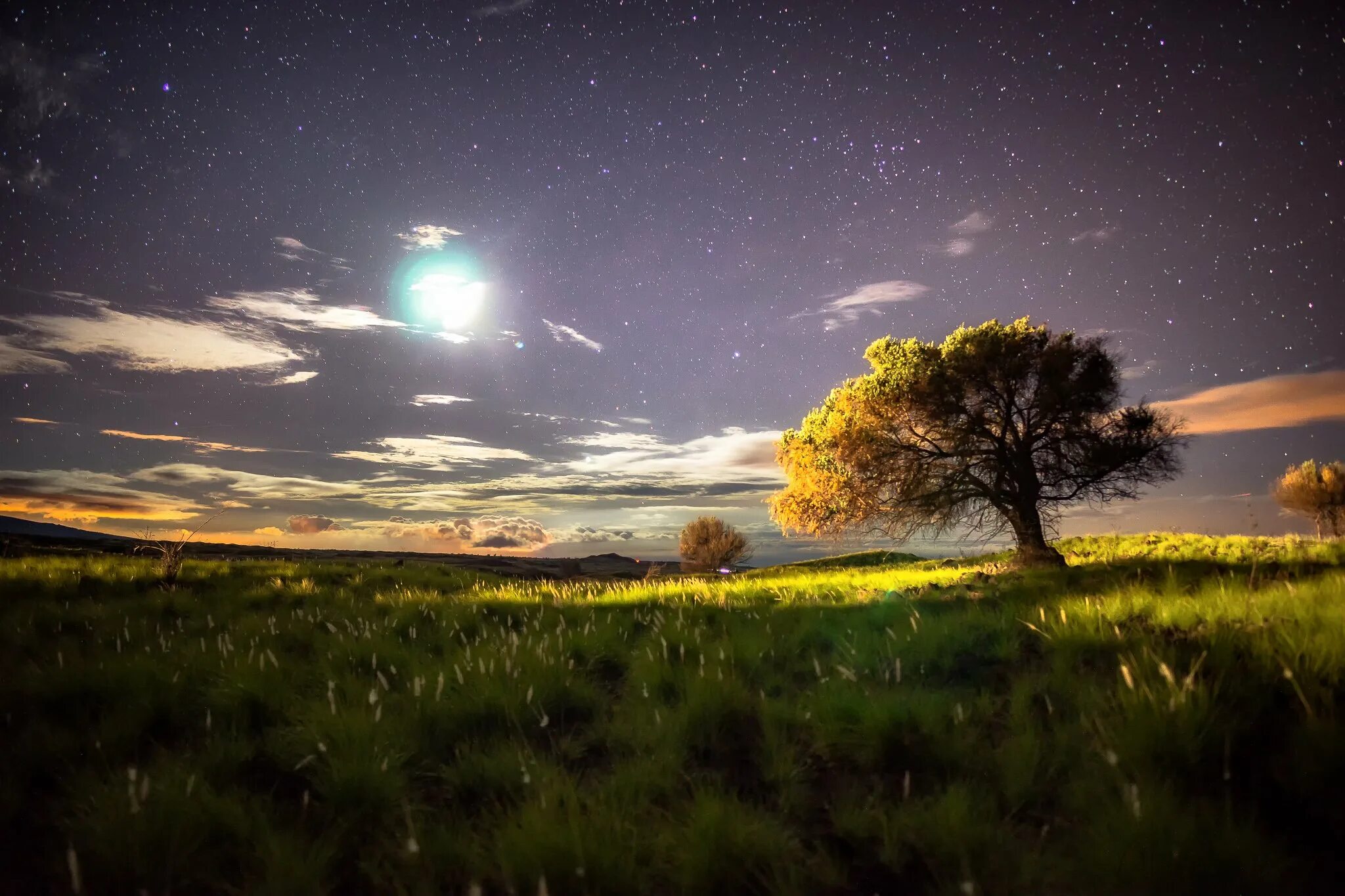 Звездное небо в поле. Летняя ночь. Природа ночью. Ночное небо летом. Лето ночь природа.