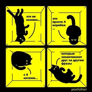 Коты и репрессии