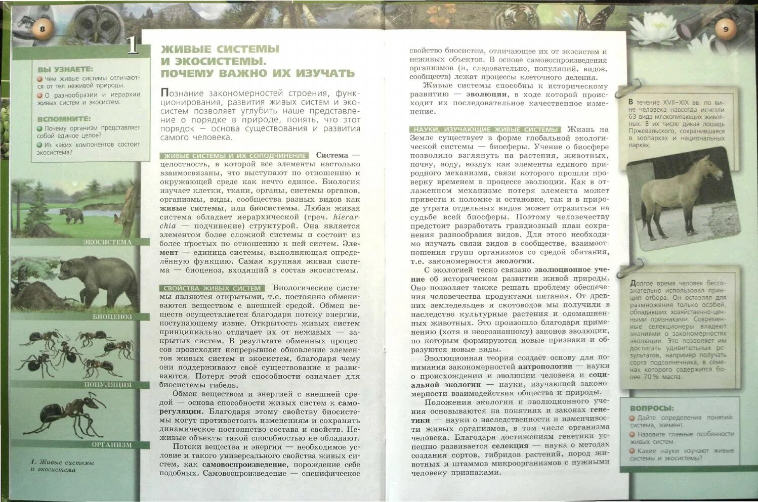 Живые системы и экосистемы. Экосистема биоценоз экотоп. Живые системы организм вид биоценоз. Биогеоценоз биотоп биоценоз. Биоценоз.