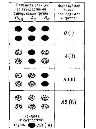 Стандартные сыворотки крови. Определение группы крови с помощью стандартных сывороток. Определение группы крови стандартными сыворотками. Стандартные сыворотки. Определение группы крови стандартными сыворотками таблица.
