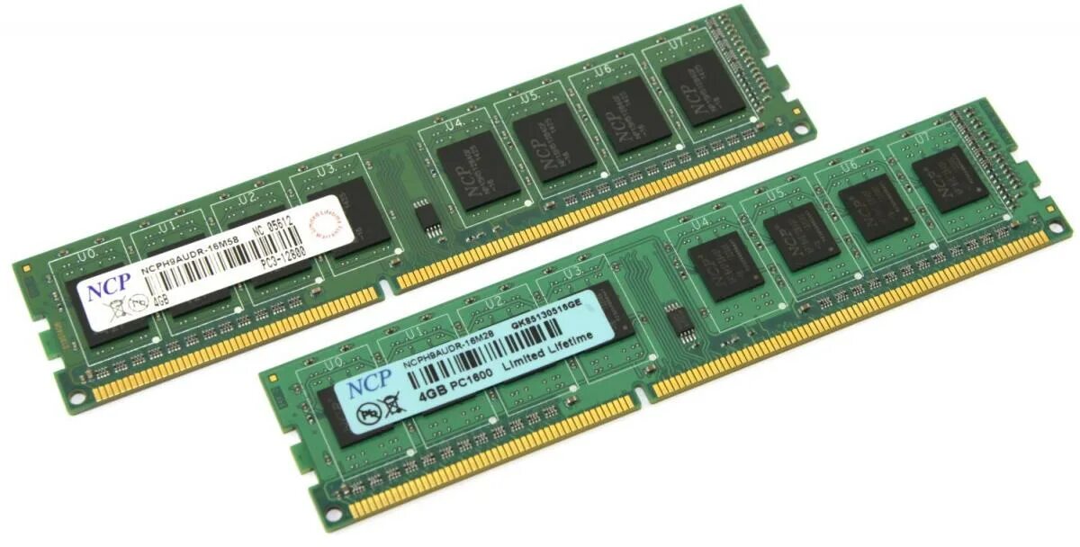 NCP Оперативная память 2gb. Оперативная память NCP ddr3. Оперативная память ddr3 4 ГБ. Оперативная память ddr3 8gb 1600mhz AITEFEIR фшвф64. Память ddr3 dimm 4gb