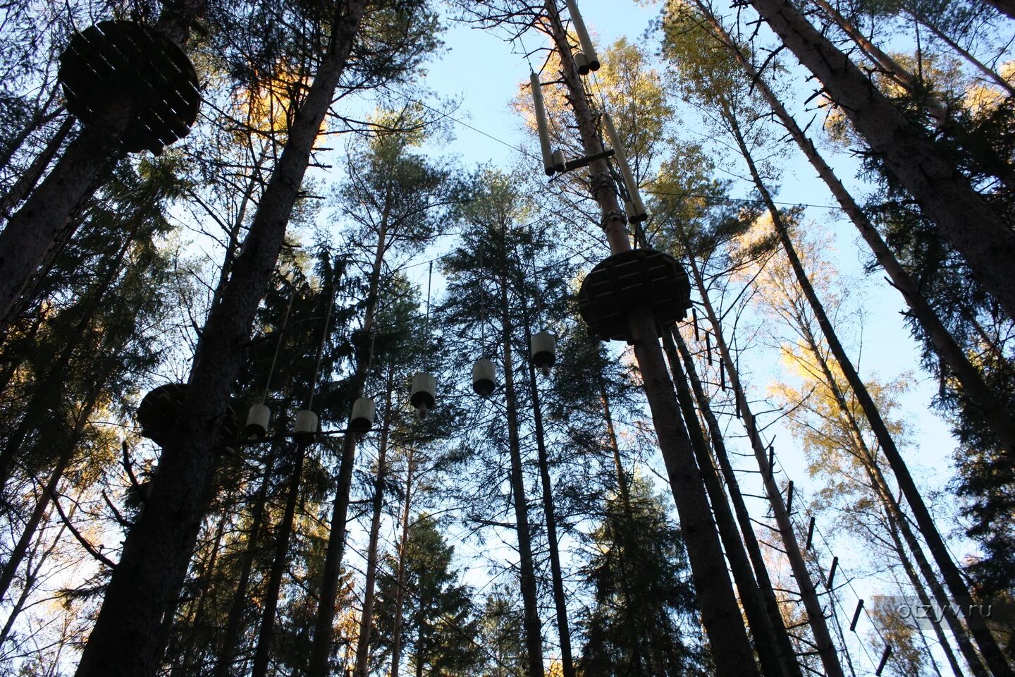 Парк Кошкино Ленинградская область. Кошкино веревочный парк. Кошкино веревочный парк Ленинградская область Всеволожский район. Кошкин парк веревочный городок Морозовка. Веревочные парки спб и ленинградской