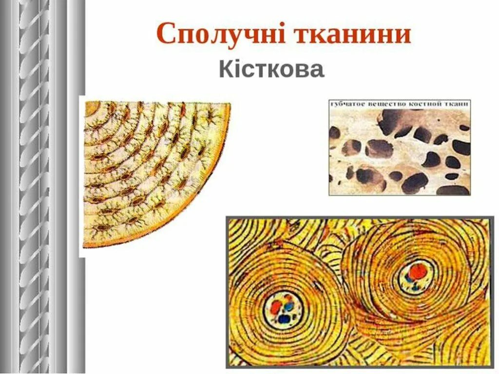 Ткань 9 класс