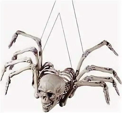 Скелет человека паука. Человек паук скелет. Кости пауков. Скелет паука. Человек паук скелет.
