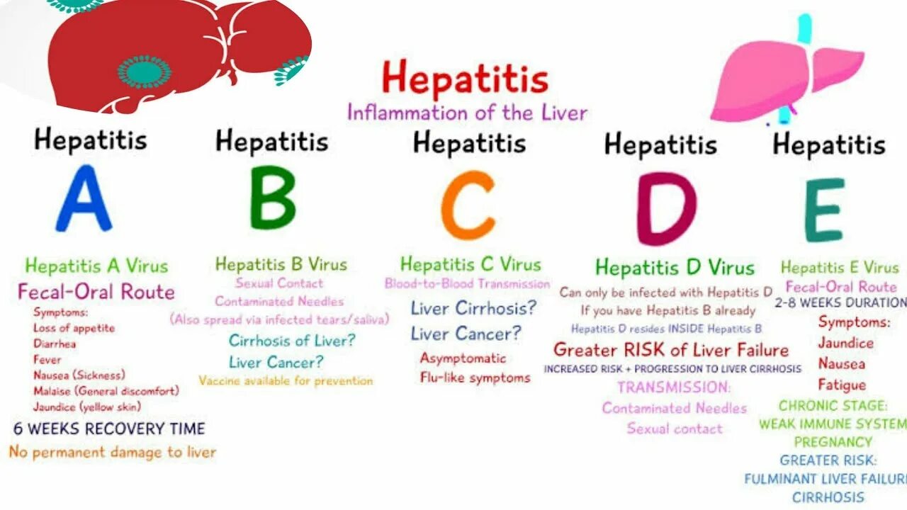Hepatitis b, c, d. Гепатит b и c. Hepatitis a b c d e.