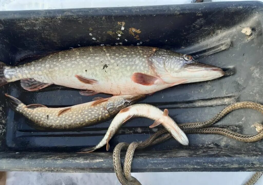 база ярыгино вазузское водохранилище. сычевский район смоленской области. деревня ярыгино смоленская область. рыбалка в ярыгино смоленской. деревня никитинка вяземский район.