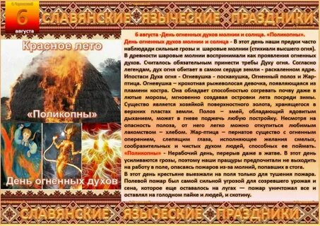 Августы 6