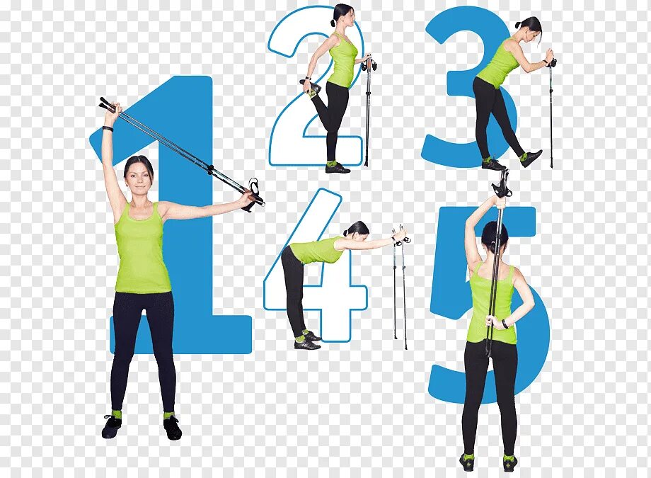 Разминка на лыжах. Упражнения для занятием с лыжами. Разминка на лыжах. Комплекс упражнений на лыжах с палками. Упражнения для разминки перед тренировкой.