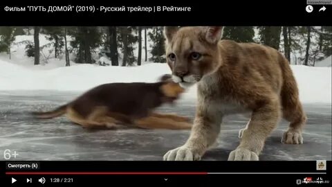 Делаю путь домой