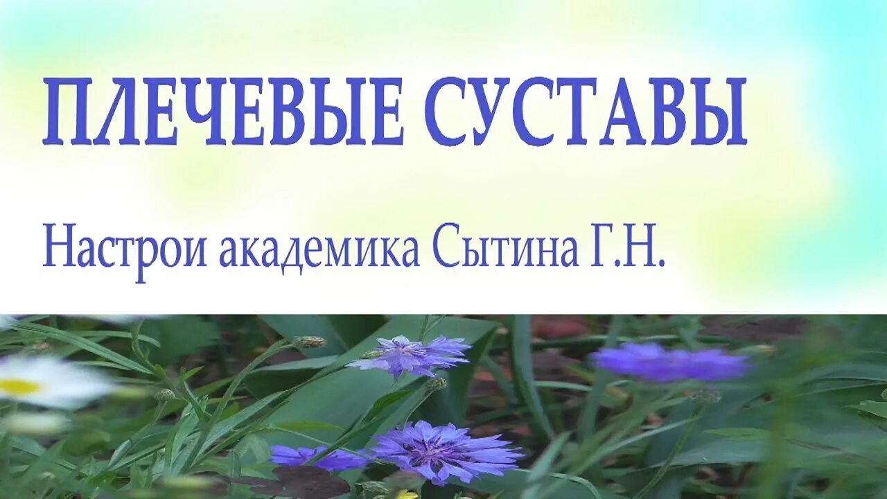 Настрои сытина на оздоровление суставов для женщин. Настрои сытина. Сытин настрой на суставы. Настрои сытина на оздоровление суставов для женщин. Настрои сытина на оздоровление суставов для женщин.