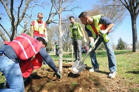 Wear a uniform plant trees