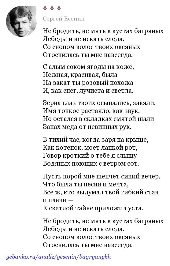 сергей есенин не бродить не мять в кустах. есенин стих в кустах багряных. есенин стих в кустах багряных. есенин не мять в кустах багряных. стих есенина не бродить не мять в кустах багряных.