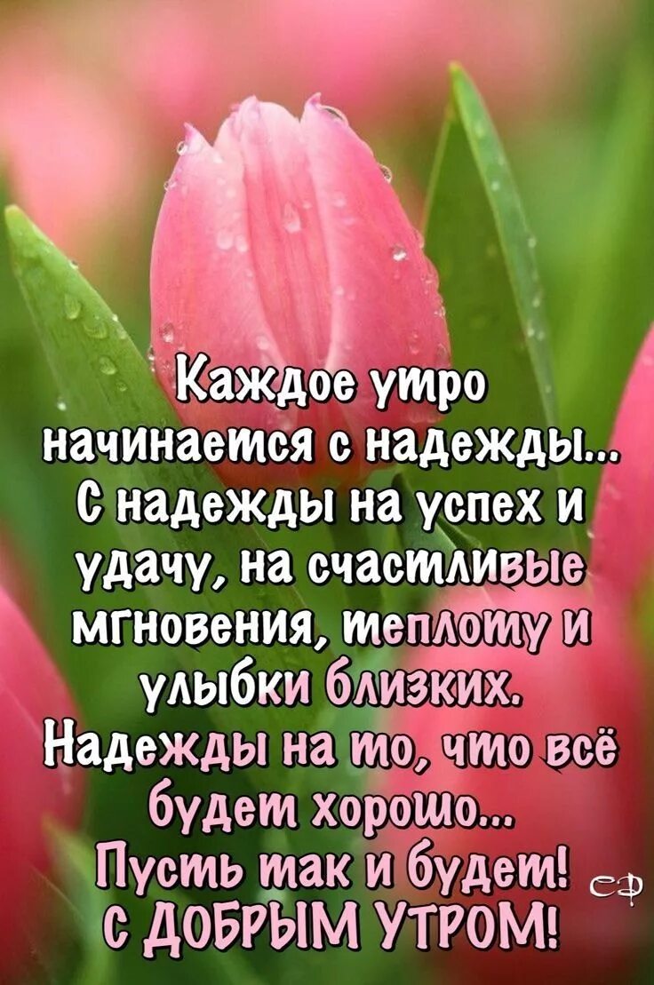 Пожелания на день с добрым смыслом. Доброе утро цитаты. Добрые пожелания и высказывания. Открытки с добрыми и мудрыми пожеланиями. Доброедоброе утро цитаты.