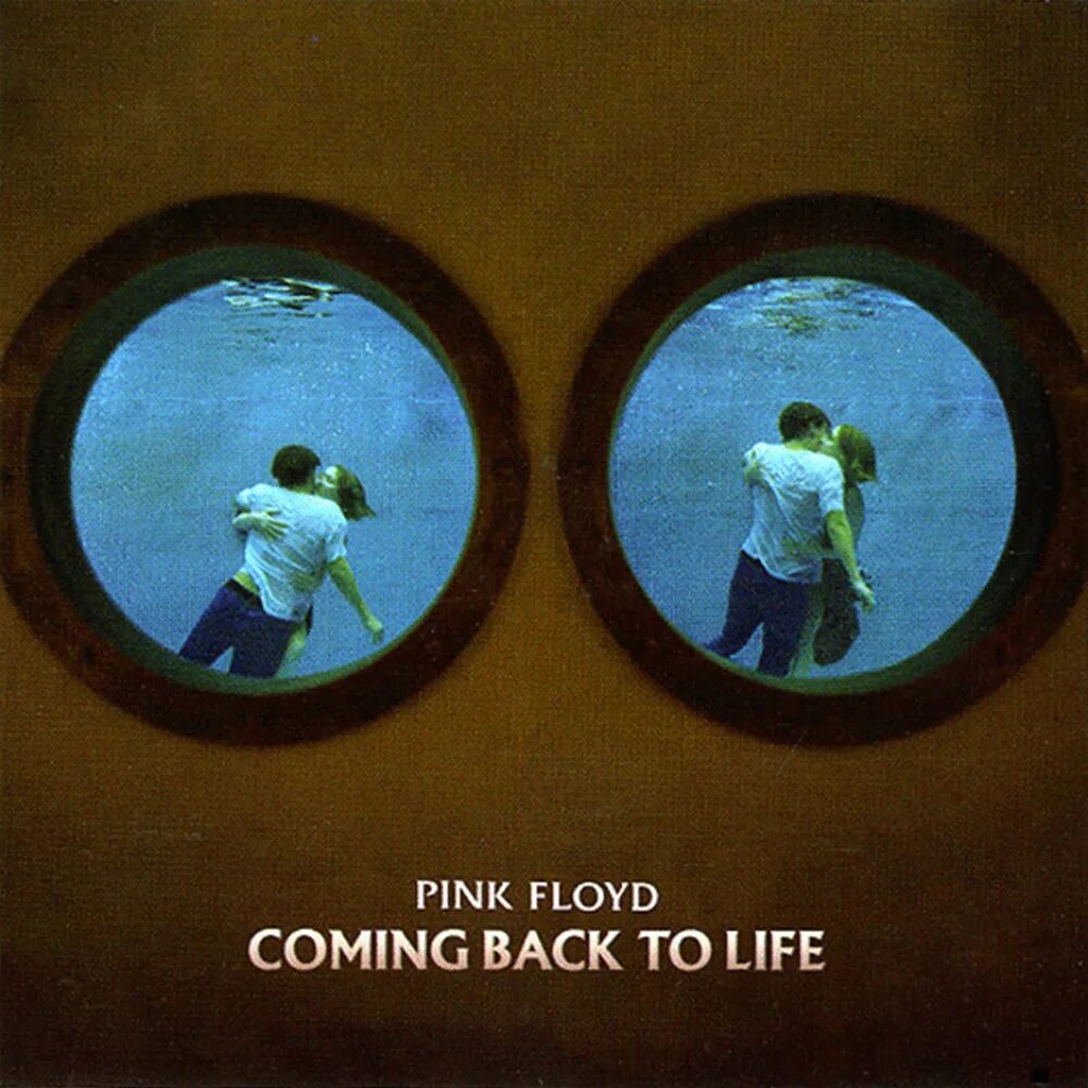 Песня back to life. Pink Floyd coming back to Life. Pink Floyd - coming back to Life (1995). Run like Hell Pink Floyd. Come back to Life обложка.