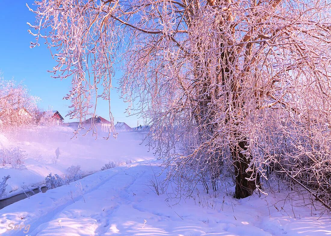 морозно и солнце день. мороз и солнце день чудесный. солнечный зимний день. мороз и солнце день чудесный. зима солнце.