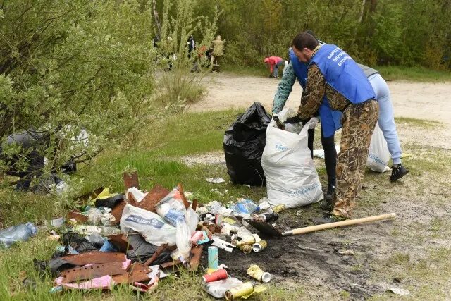 Сургутский район волонтеры. Доброволец Сургута. Волонтеры серебряного возраста Барсово Сургутский район. Волонтеры чистят реки и берега. Волонтеры сургута