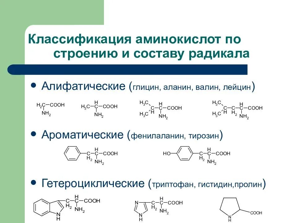 Электрохимическая классификация аминокислот. Аминокислоты классификация аминокислот химические свойства аминокислот. Аминокислоты классификация аминокислот химические свойства аминокислот. Аминокислоты классификация аминокислот химические свойства аминокислот. Аминокислоты классификация аминокислот химические свойства аминокислот.
