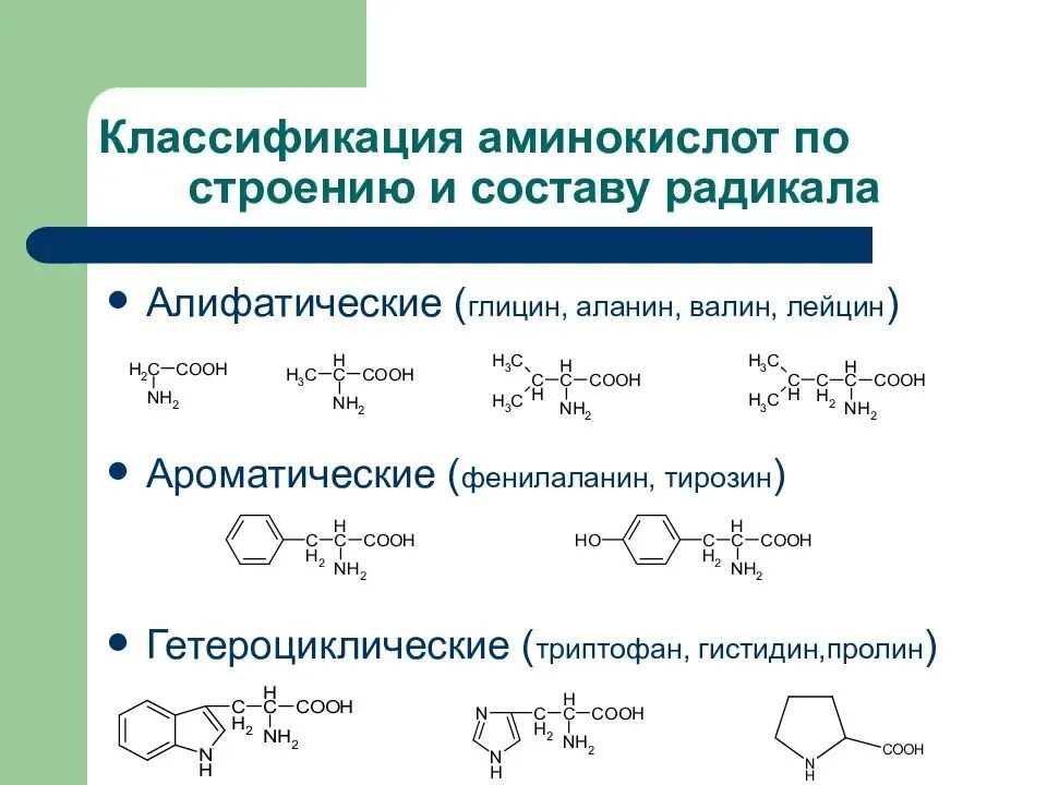 Аминокислоты строение и классификация. Классификация Альфа аминокислот по радикалу. Структурная классификация аминокислот. Алифатические и ароматические аминокислоты. Классификация аминокислот по структуре радикалов.